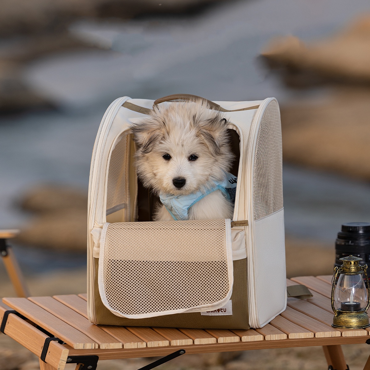 Pet Carrier Backpack Breathabl - Foldable Backpack Small recension och pris
